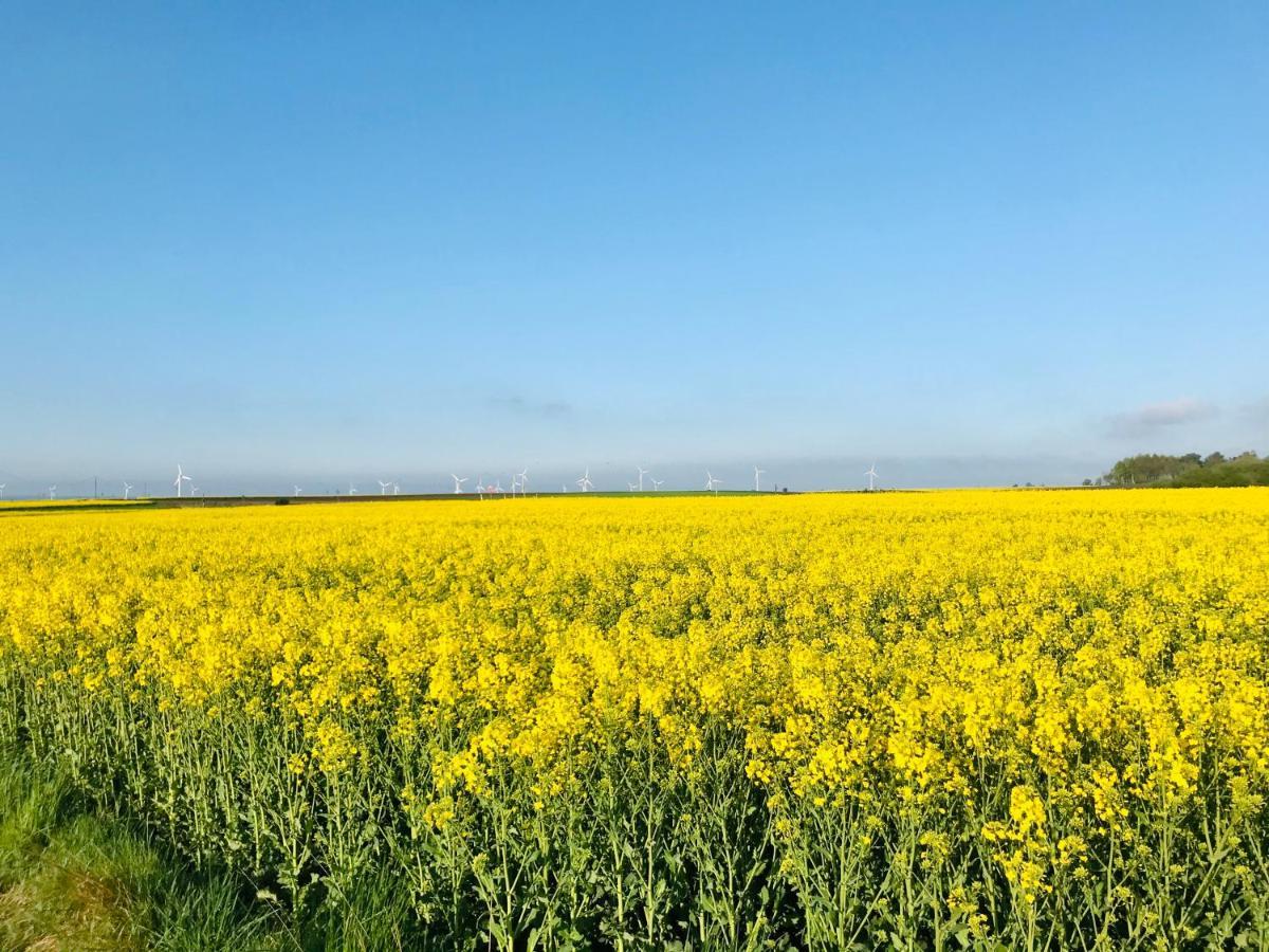 Domki I Apartamenty Caloroczne Koliber Władysławowo エクステリア 写真