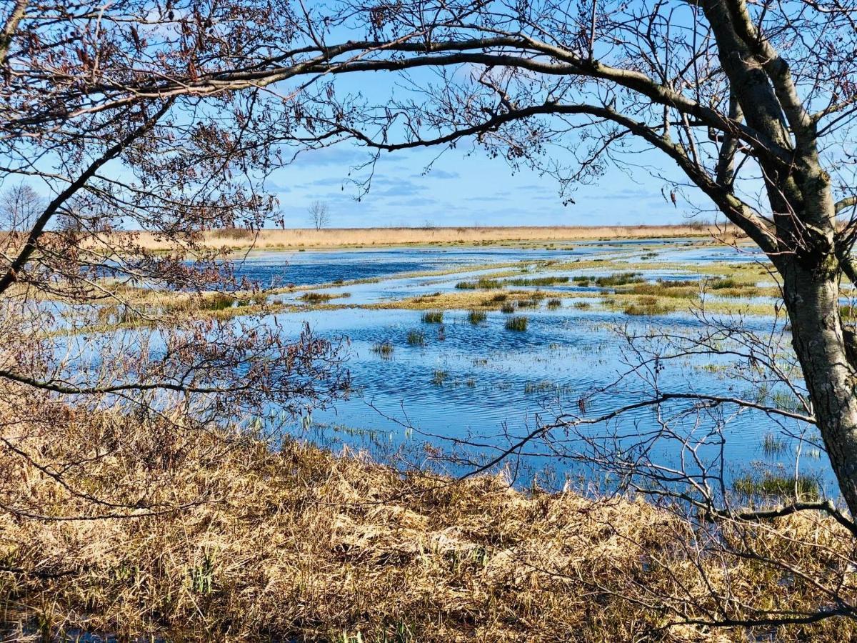 Domki I Apartamenty Caloroczne Koliber Władysławowo エクステリア 写真